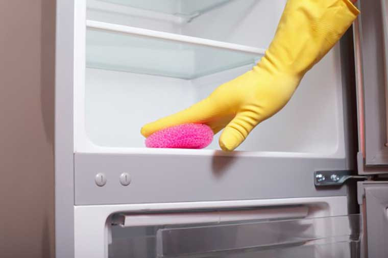 Thường xuyên vệ sinh khiến tủ lạnh bảo quản đồ ăn được nhanh hơn