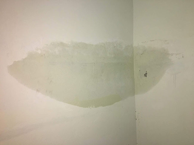 nguyên nhân sơn tường bị phai do thấm nước