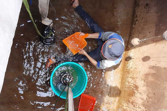 Dịch vụ thau rửa bể nước ngầm quận 1 loại bỏ cặn bẩn và vi sinh vật gây hại